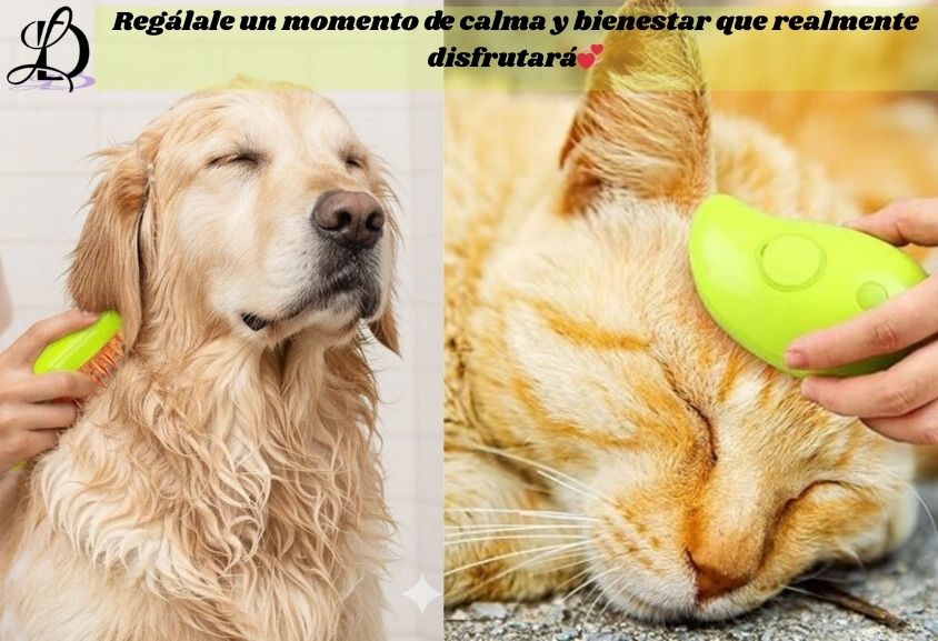 Cepillo vapor para  mascota