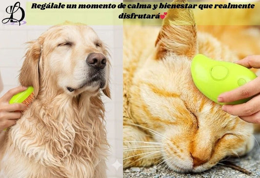 Cepillo vapor para  mascota